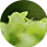 avatar1