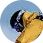 avatar4